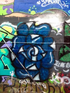 baltimore street art - blue rose