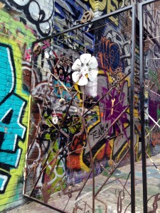 baltimore street art - graffiti alley metal gate