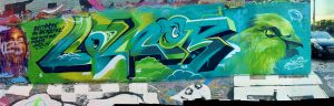 CAMER 1SF