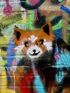 Fox